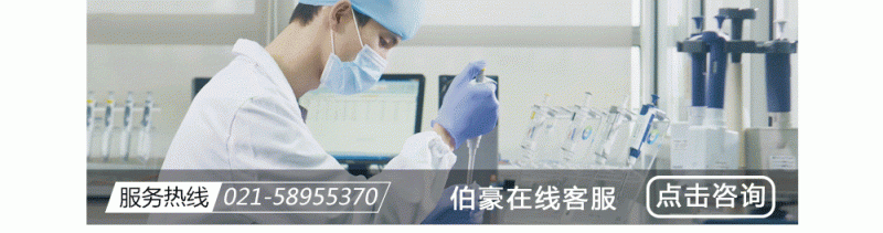 更多人工服務(wù)伯豪生物客戶服務(wù)人工服務(wù)