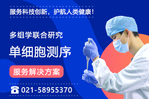單細胞多組學研究一站式解決方案！