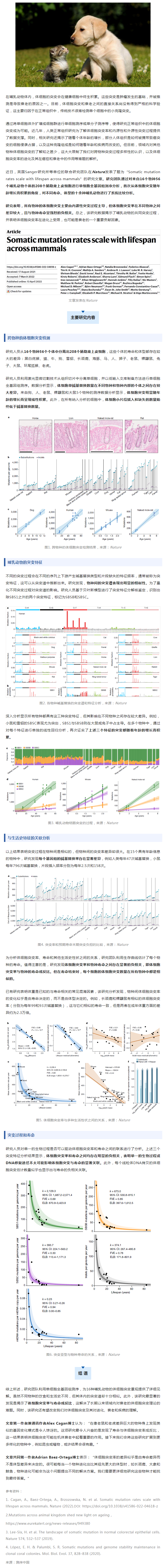 Nature _ 為何動(dòng)物的壽命差異那么大？跨物種單細(xì)胞測序揭示長壽密碼