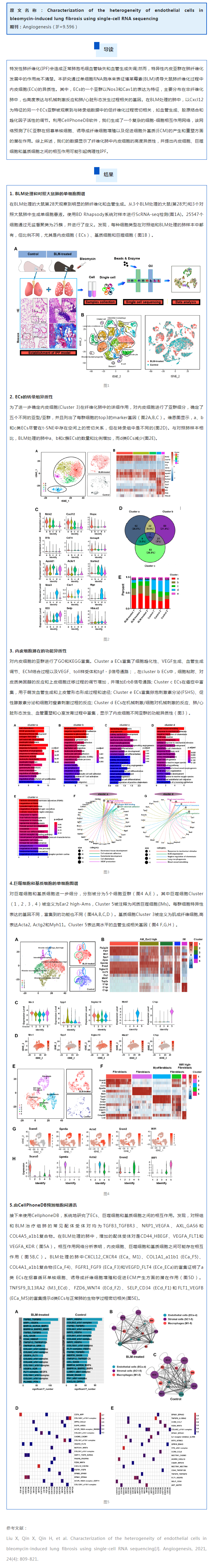 文獻(xiàn)解讀 | 單細(xì)胞 RNA 測(cè)序鑒定博萊霉素誘導(dǎo)的肺纖維化中內(nèi)皮細(xì)胞的異質(zhì)性