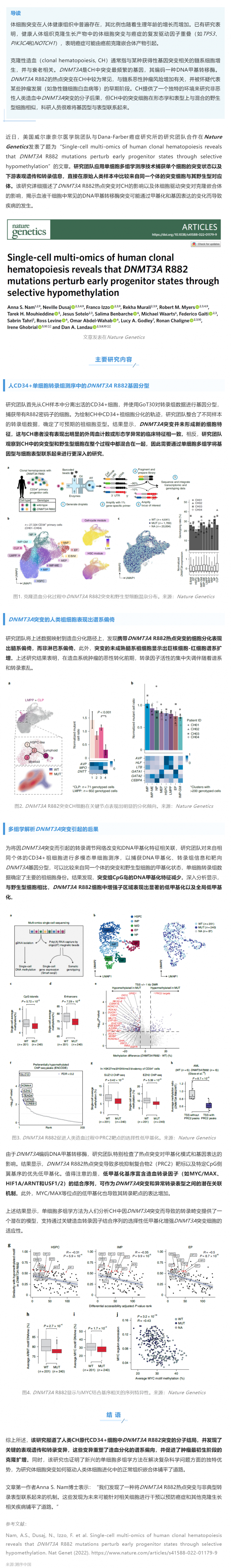 Nat Genet _ 基于單細胞多組學技術解析 DNMT3A R882 突變在人類克隆造血中的影響