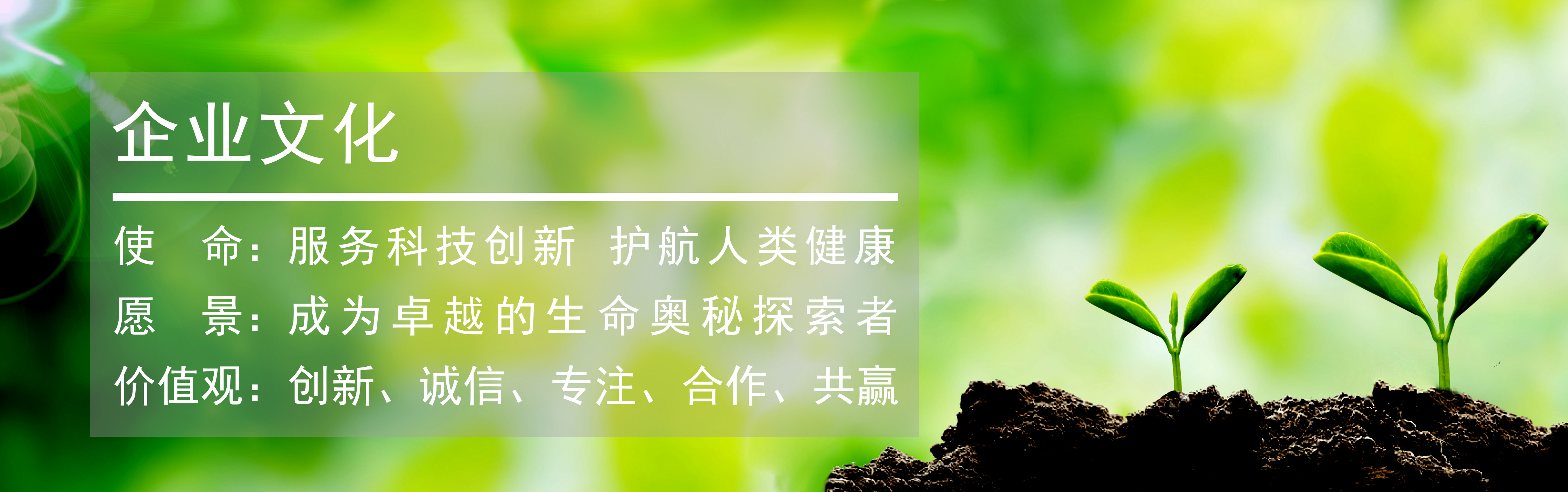 伯豪生物企業文化茁壯生長