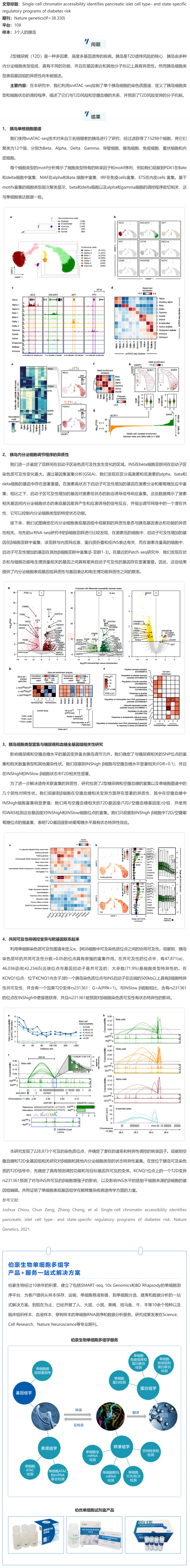 單細胞抽核_snATAC-seq 技術揭示糖尿病風險相關的胰島特異性調控元件