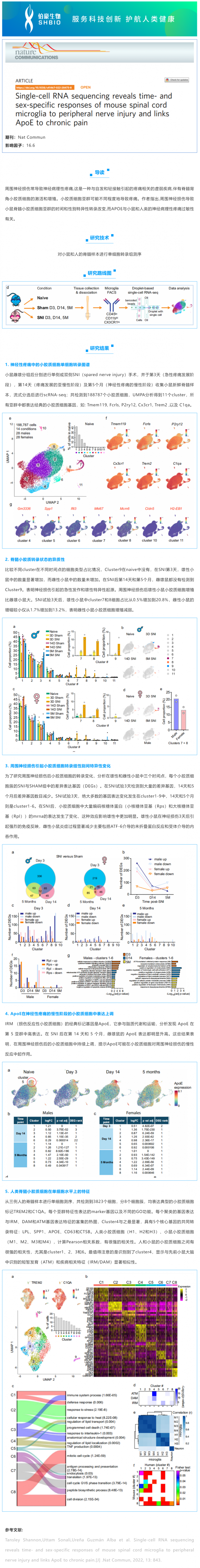 文獻解讀_單細胞 RNA 測序揭示了小鼠脊髓小膠質(zhì)細胞對周圍神經(jīng)損傷的時間和性別特異性反應，并將 ApoE