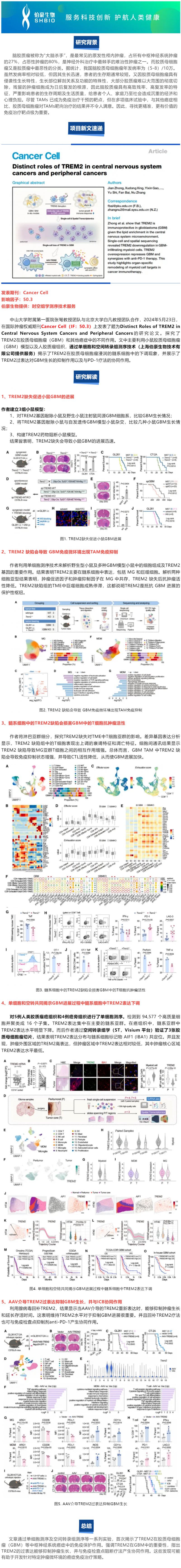 524 項目文章 |Cancer Cell-TREM2 在中樞神經系統癌癥和外周腫瘤中的獨特作用