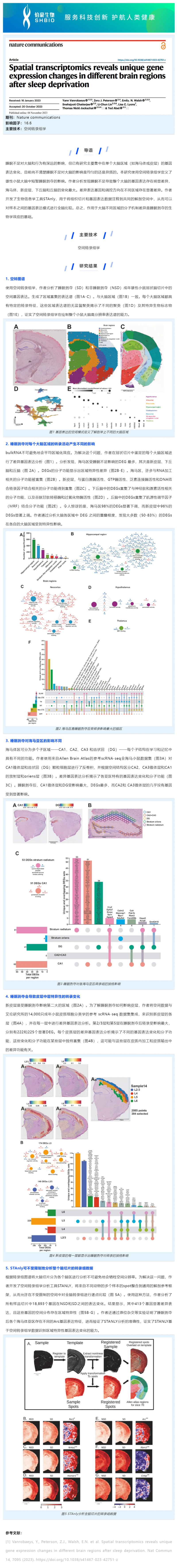 516 文獻解讀 _ 空間轉錄組學揭示睡眠剝奪后不同大腦區域的特異性基因表達變化