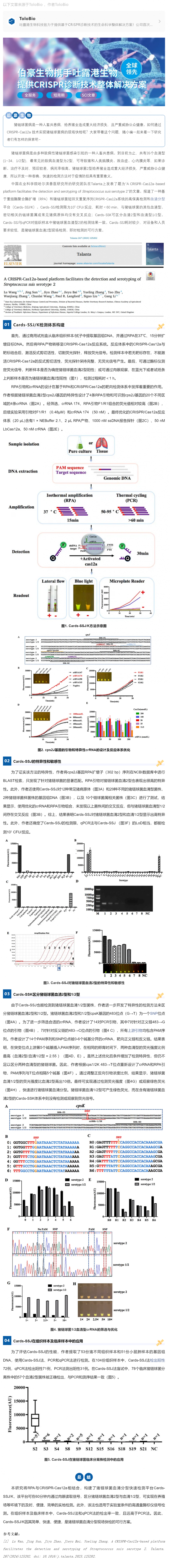 CRISPR 智庫 _ CRISPR-Cas12a 系統實現豬鏈球菌病現場快檢