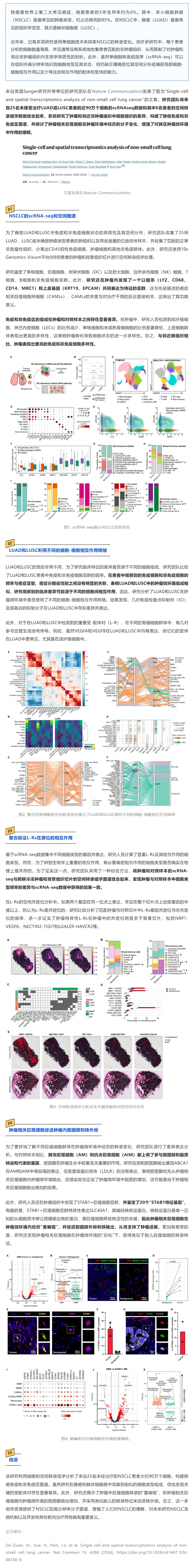 Nat Commun _ 基于單細胞和空間轉錄組學分析構建 NSCLC 免疫和非免疫區圖譜