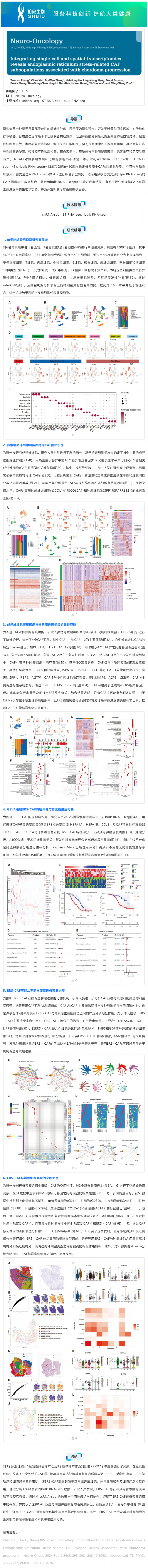 文獻(xiàn)解讀 _ 整合單細(xì)胞和空間轉(zhuǎn)錄組學(xué)揭示與脊索瘤進(jìn)展相關(guān)的內(nèi)質(zhì)網(wǎng)應(yīng)激相關(guān) CAF 亞群