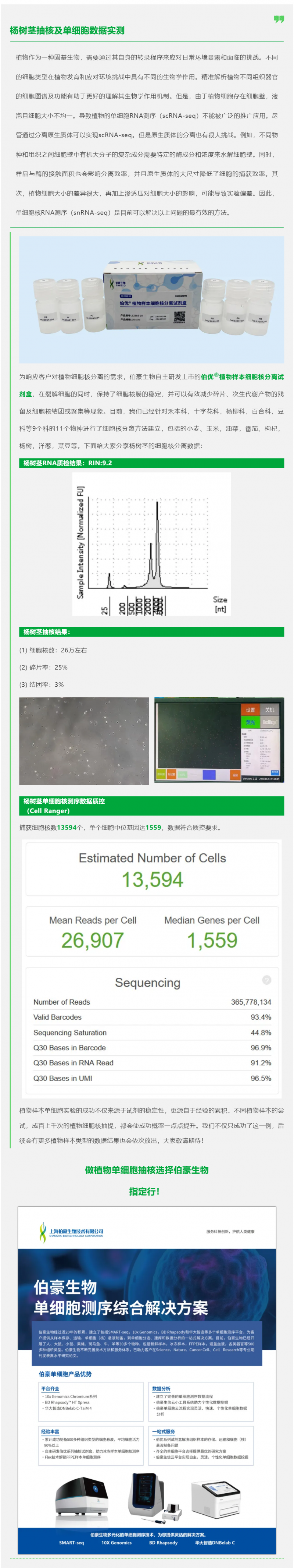 植物抽核哪家強！伯優(yōu)試劑來幫忙！楊樹莖抽核及單細胞數據實測