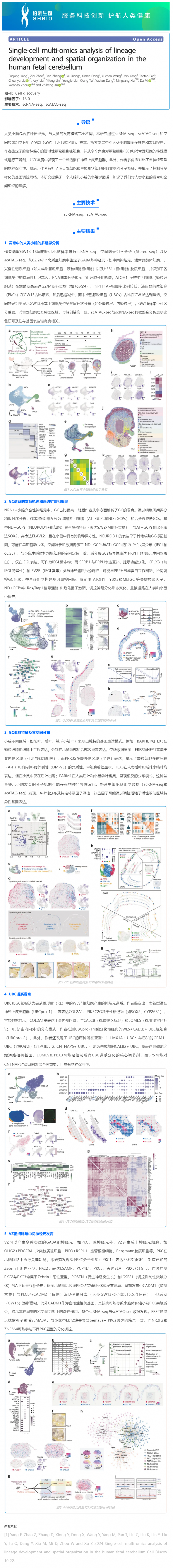華大 DNBelab C 系列 _ 單細胞多組學解析人胎兒小腦神經細胞發育和空間結構