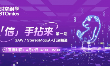 「信」手拈來第一期，SAW/StereoMap 從入門到精通